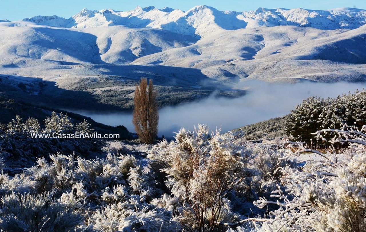 La Pasailla De Gredos Konuk evi Navacepeda de Tormes Dış mekan fotoğraf