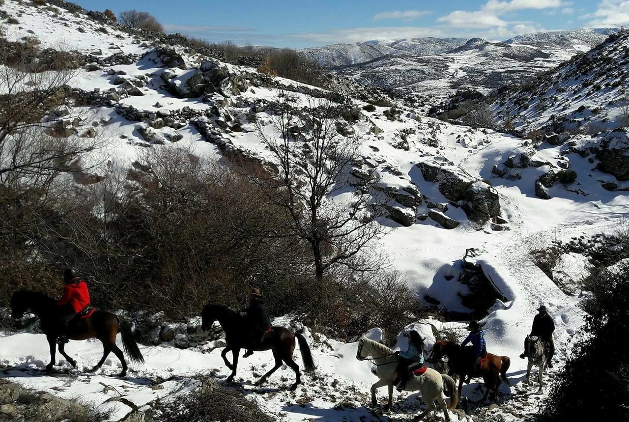 La Pasailla De Gredos Konuk evi Navacepeda de Tormes Dış mekan fotoğraf