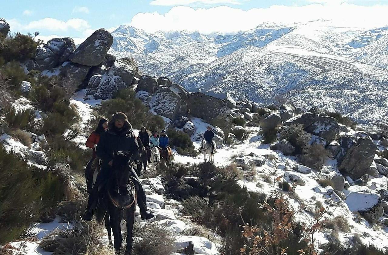 La Pasailla De Gredos Konuk evi Navacepeda de Tormes Dış mekan fotoğraf